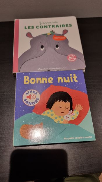 Lot 2 livres sonores pour bébé 