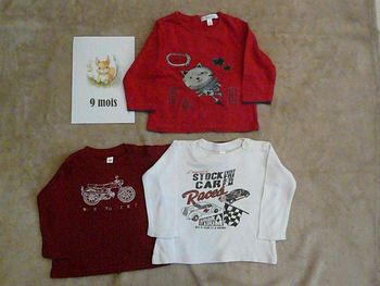Lot de 3 tee-shirts 9 mois