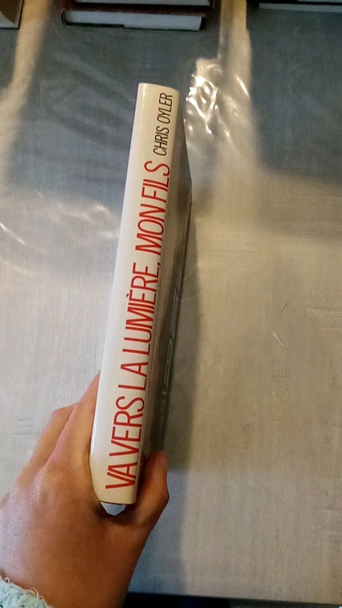 Va vers la lumière, mon fils - photo numéro 2