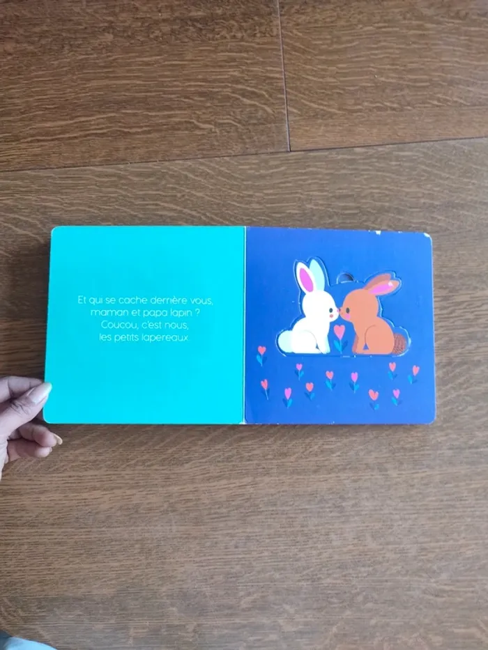 Livre qui se cache derrière maman - photo numéro 13