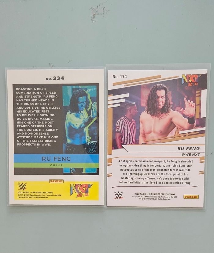 Wwe Ru Feng - photo numéro 2