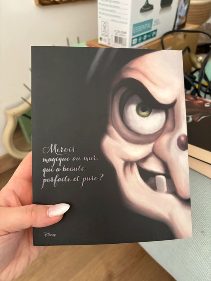Miroir miroir Disney serena Valentino - photo numéro 2