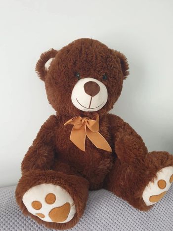 Ours peluche