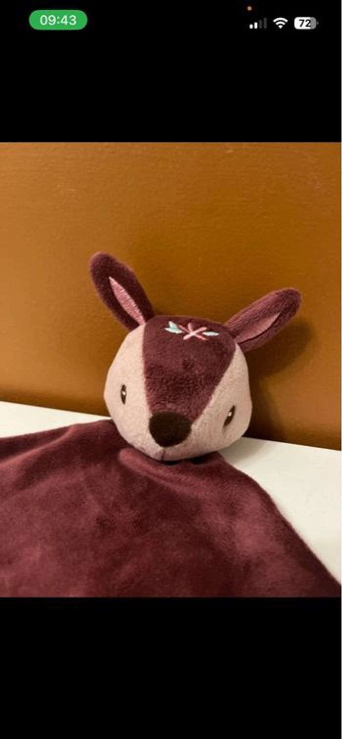 Doudou - photo numéro 2