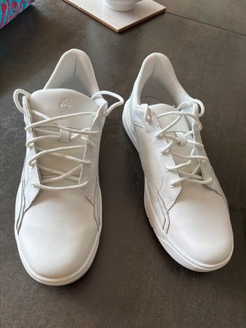 Basket Timberland