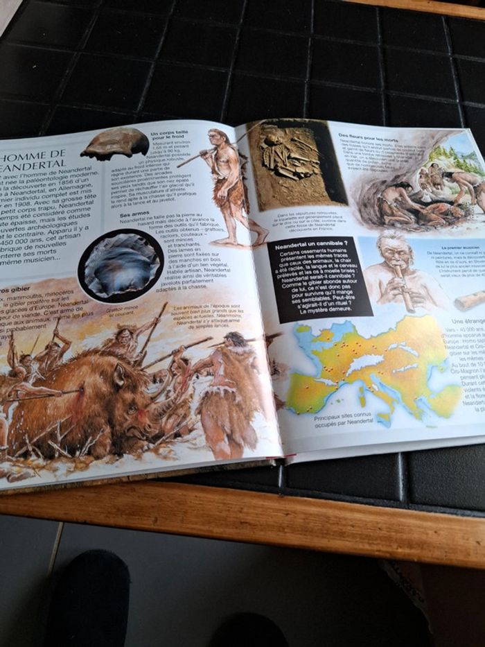 Livre la préhistoire - photo numéro 2