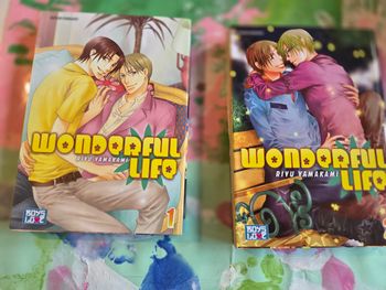 Manga yaoi wonderful life