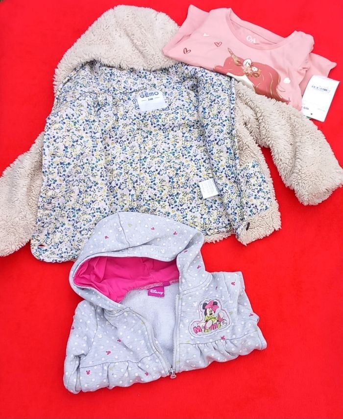 Magnifique lot 24 mois 🌸 Gémo/C&A/Disney - photo numéro 5