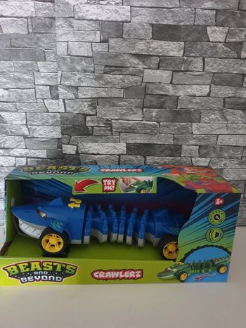 Requin son et lumière