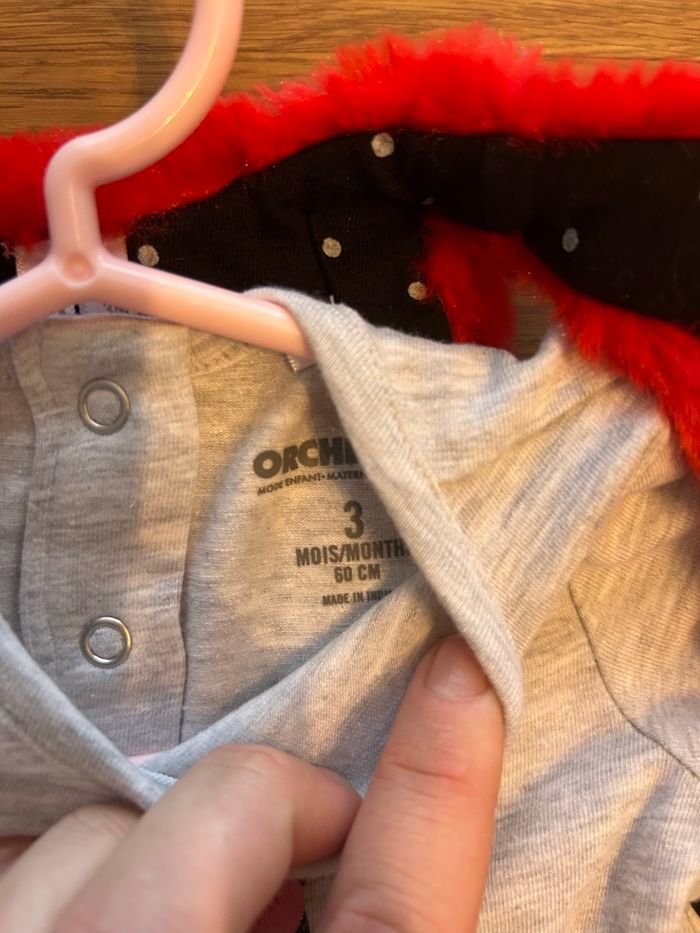 Ensemble orchestra - photo numéro 3