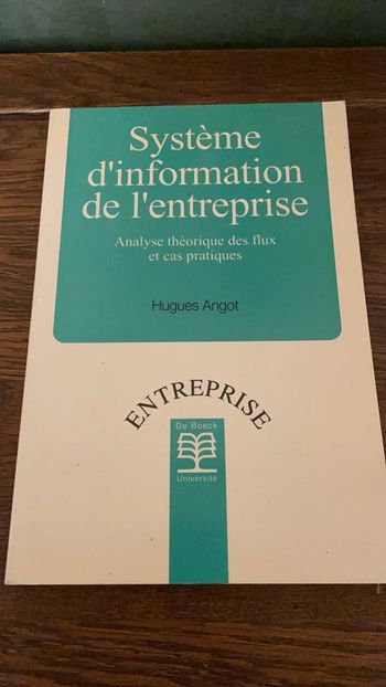 Système d’information de l’entreprise - Hugues Angot