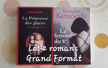 Lot 2 Romans : La Princesse des glaces de Läckberg & La femme du V de Kennedy