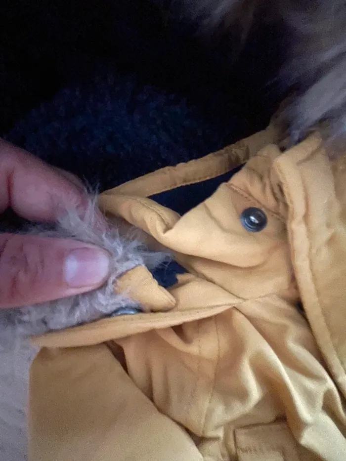 Veste okaidi 4 ans - photo numéro 4