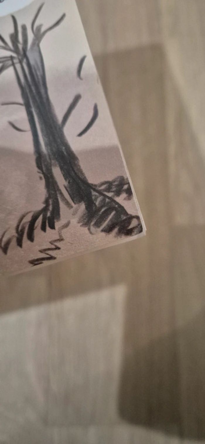 Livre - L'enfance du Père Noël - photo numéro 5