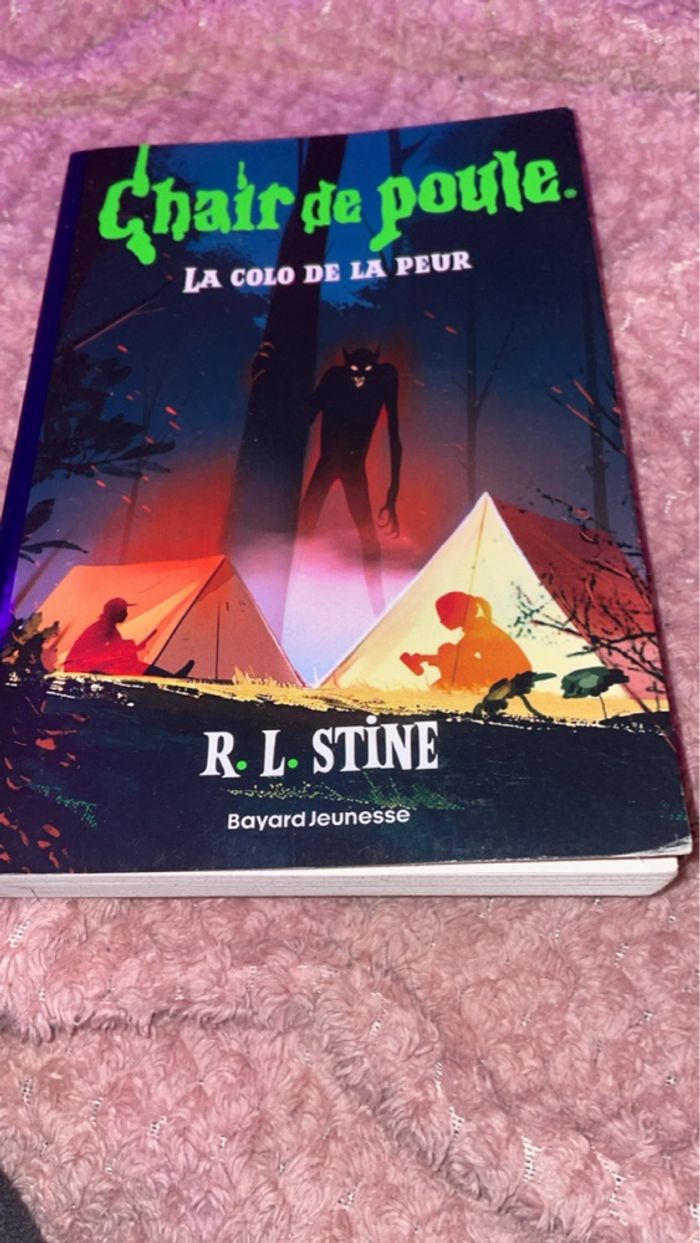 Livres chair de poules - photo numéro 6