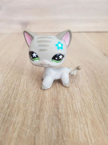 Little Pet Shop chat européen