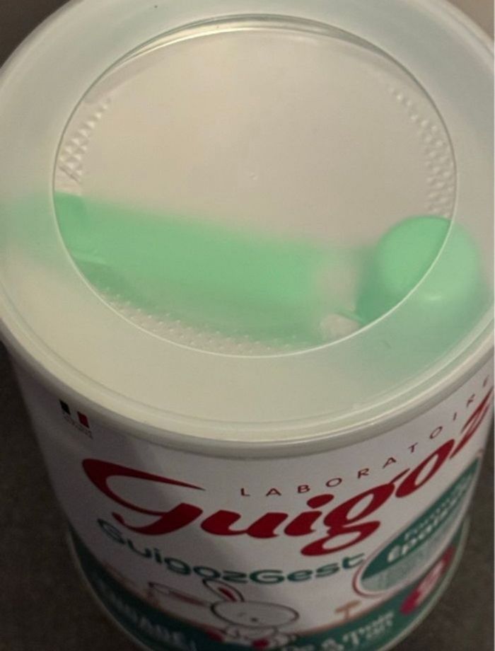 Guigozgest - photo numéro 2