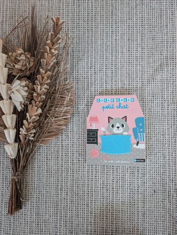 Livre "Cache Cache petit chat"