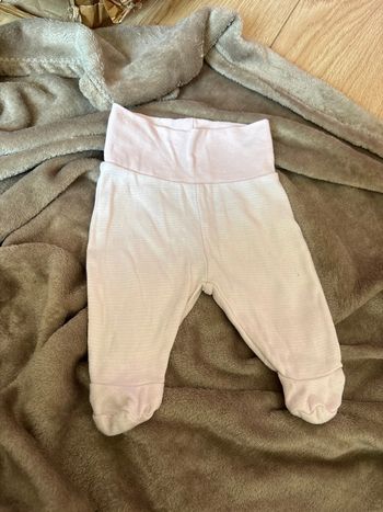 Lot  Legging