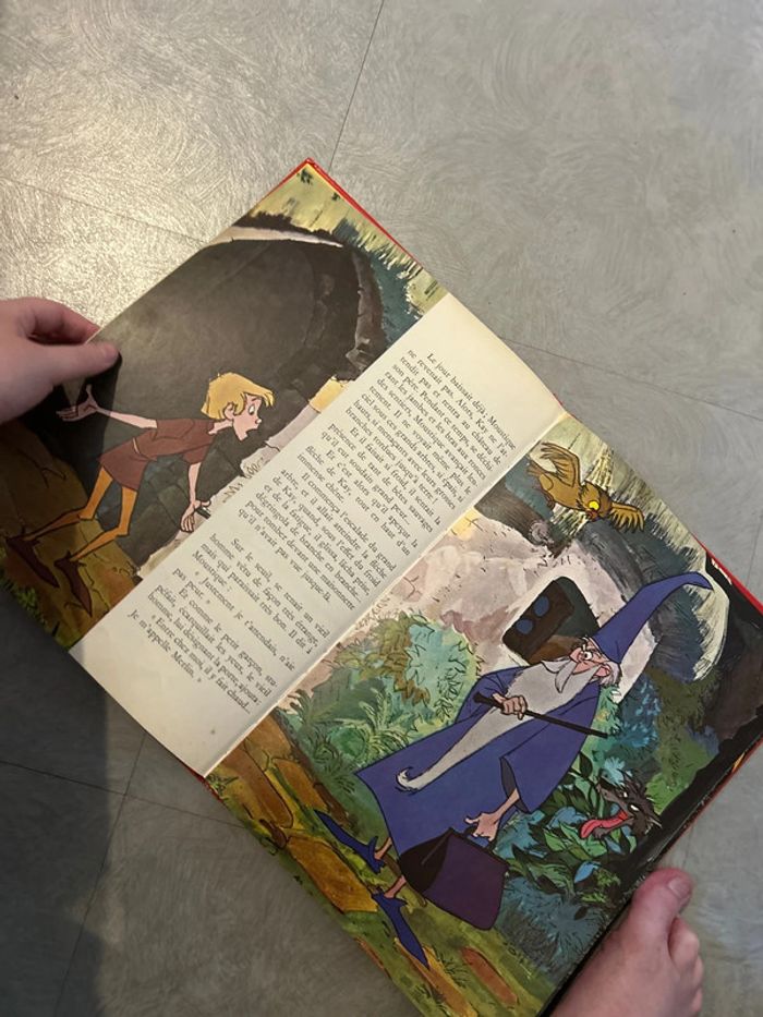 Livre Disney - photo numéro 5