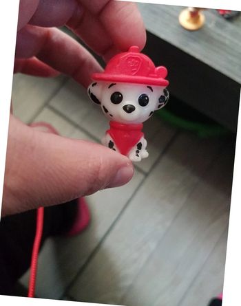 Marcus pat patrouille