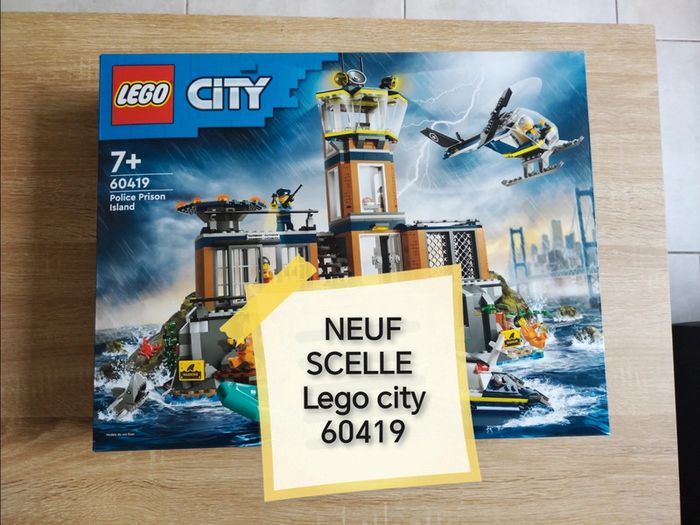 Lego city 60419 neuf scelle