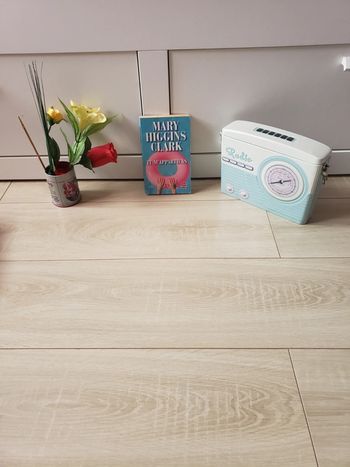 Livre 📖 tu m'appartiens 1€