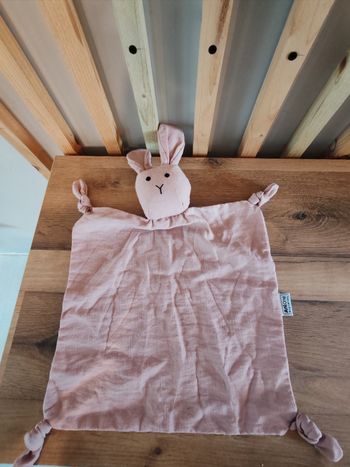 Lapin vieux rose anione carré