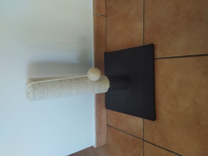 Poteau Griffoir pour chat en très bon état