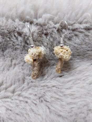 Boucles d'oreilles fleurs séchées