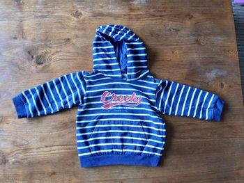 Sweat a capuche
