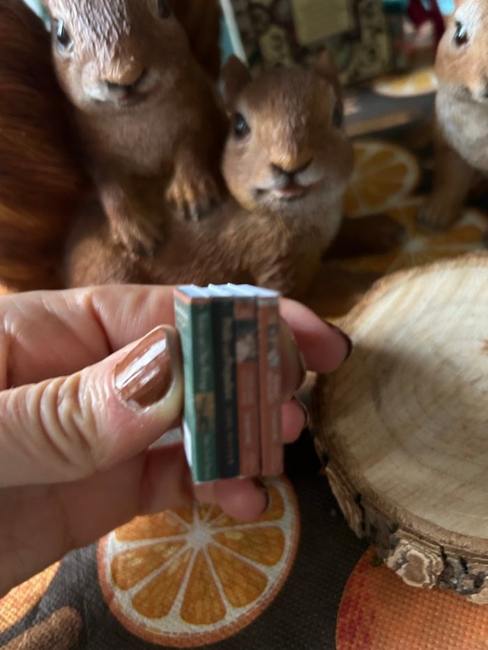 Lot de livres  miniatures pour maison de poupée - photo numéro 7