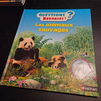 Livre enfant Nathan Questions Réponses