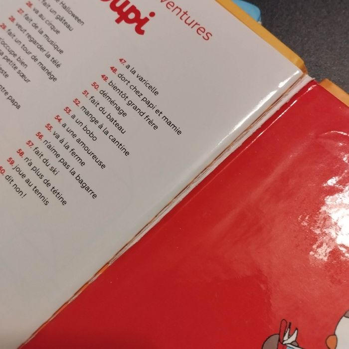 Livre enfant Nathan T'choupi fait des bêtises - photo numéro 4