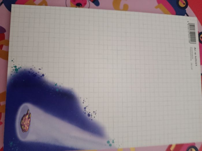 Bloc Diddl a5 complet - photo numéro 2