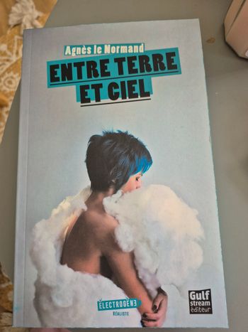 Entre Terre et Ciel