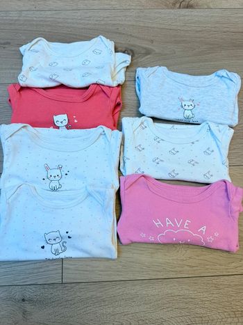 7 bodies In Extenso en 12mois/1an