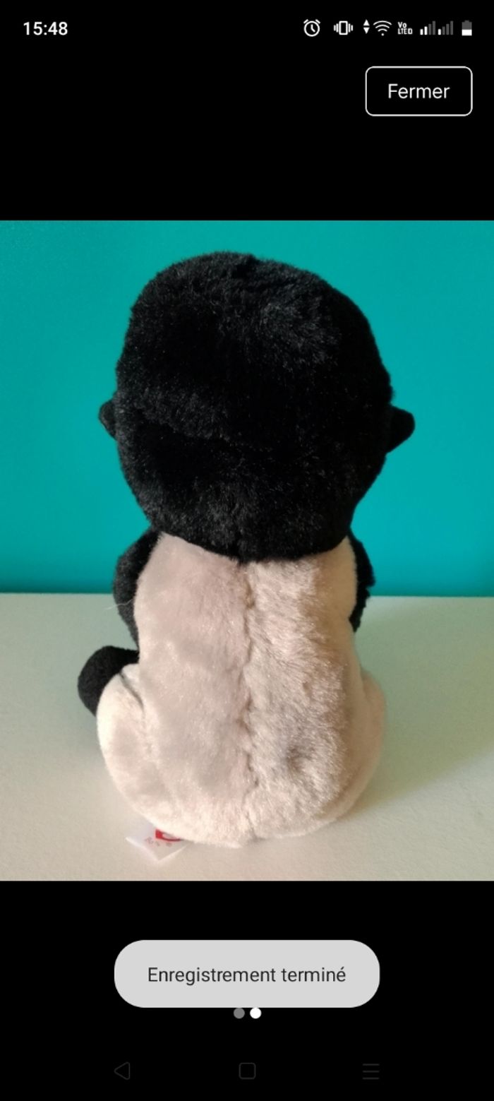 Peluche Ty - photo numéro 2