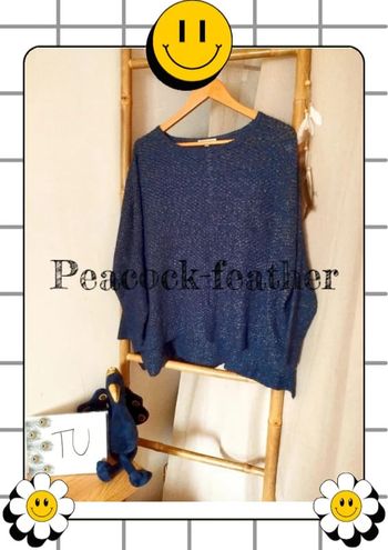 Pull bleu TU best mountain