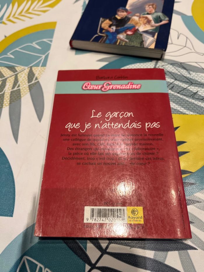 Livre ado et pré ado - photo numéro 10