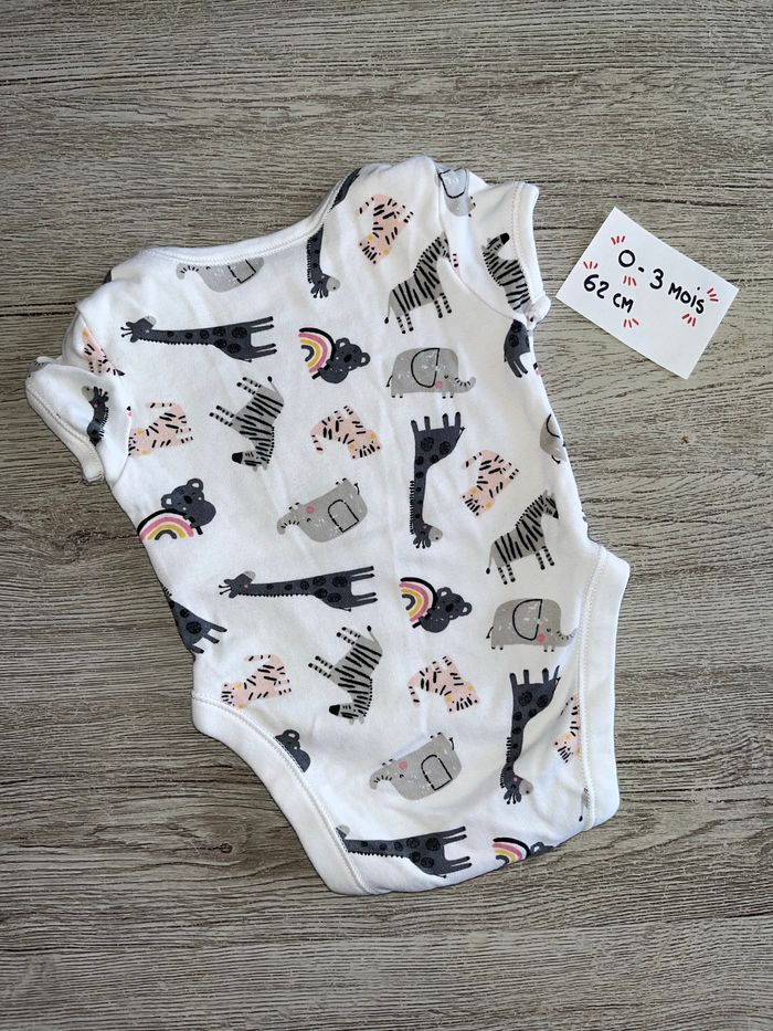 Body animaux - photo numéro 2