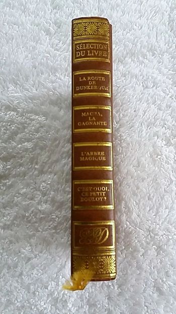 Livre adulte 4 histoires