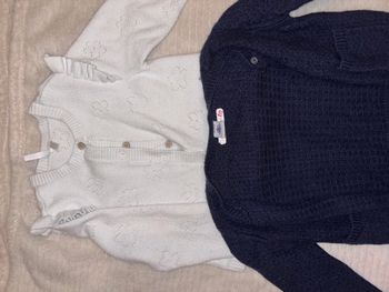 Lot 2 Gilets Fille 2 ans
