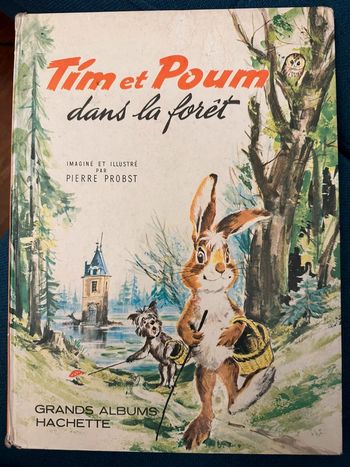 1964 livre ancien Tim et Poum dans la forêt Grands albums Hachette Pierre Probst auteur Caroline
