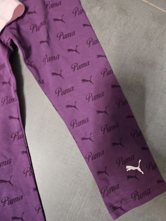 Ensemble puma - photo numéro 4