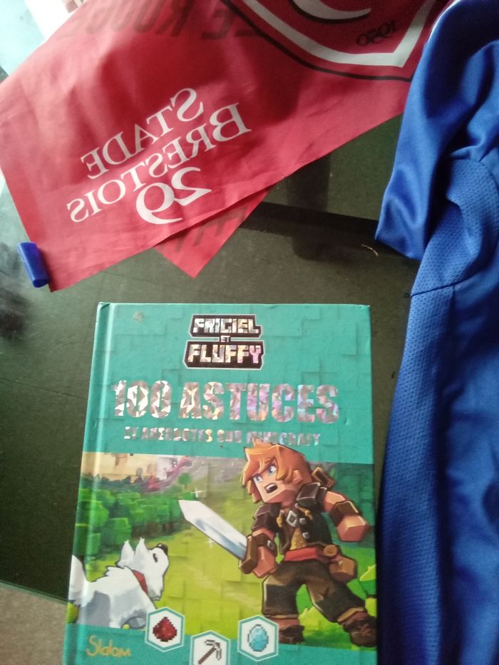 Livre plus maillot de l'équipe de France - photo numéro 2