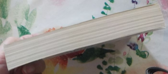 AMERICA T2 LA MAIN ROUGE de Romain SARDOU Ed. Pocket - photo numéro 5