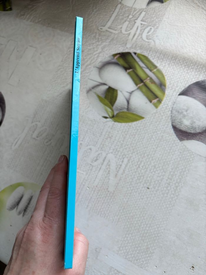 Livre Disney - photo numéro 6