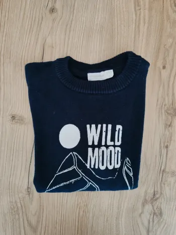 Pull garçon 6 ans tao