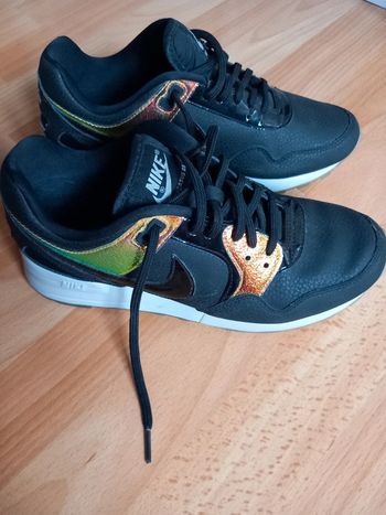 Authentique nike air pegasus
